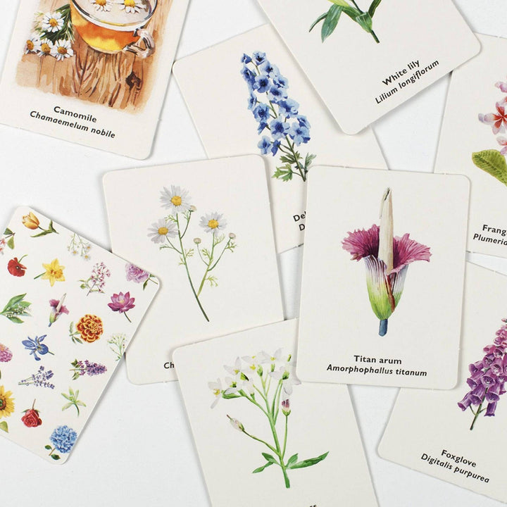 Pick a Flower Memory Card Game